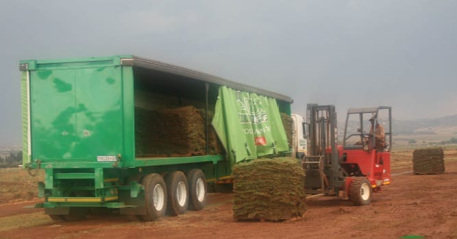 Instant lawn pallets being loaded into a delivery trailer
