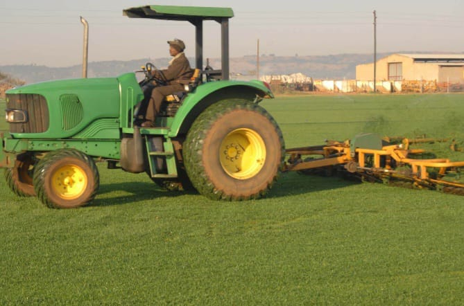 Tractor with mowing gang maintaining an established turf field