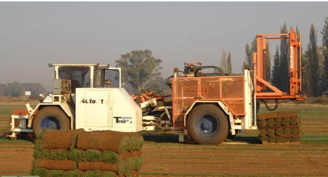 Turf harvesting machine loading rolls of lawn onto pallets