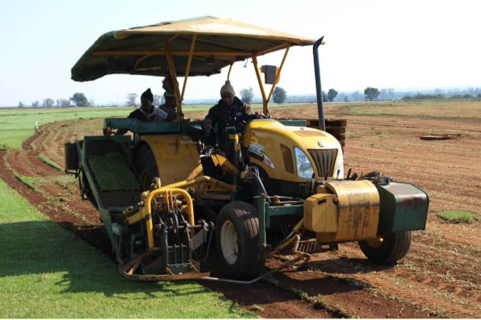 Turf harvester cutting rolls of instant lawn on the farm